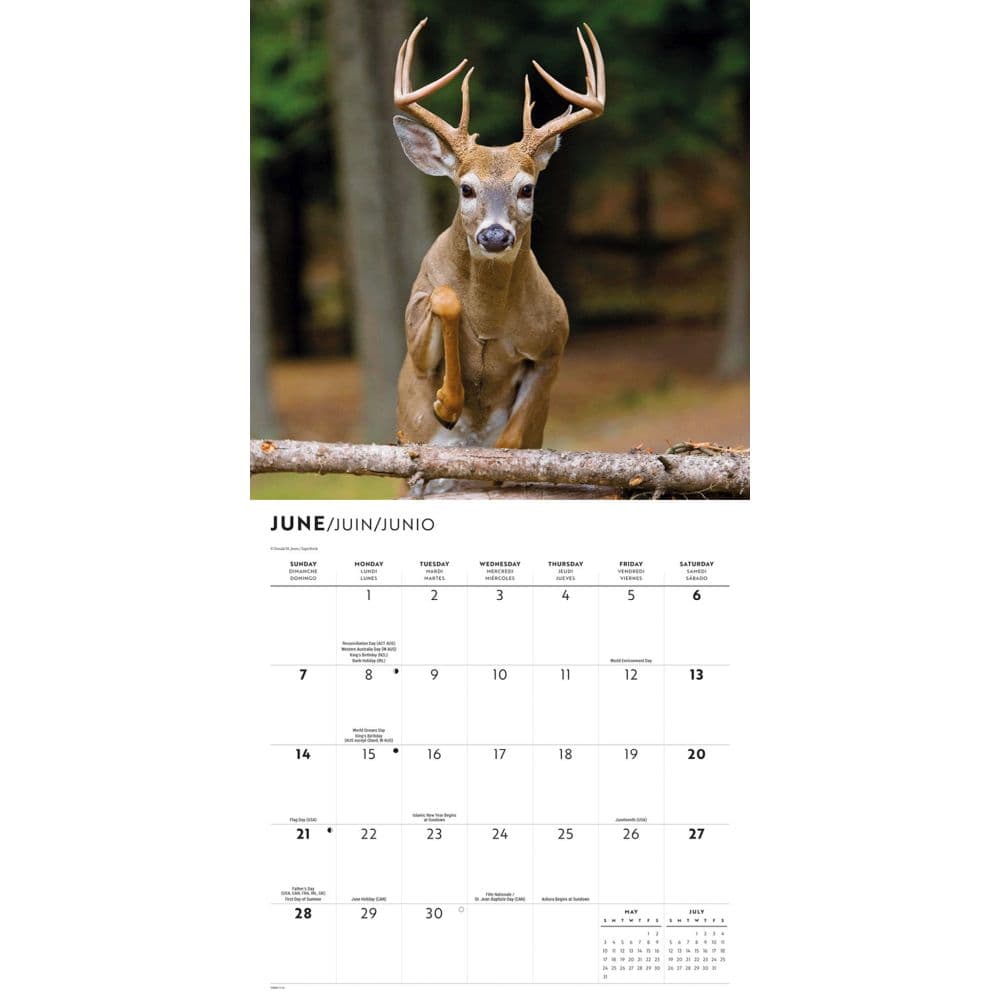 Monster Bucks 2026 Wall Calendar Third Alternate Image