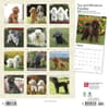 image Miniature Toy Poodles 2024 Wall Calendar First Alternate Image width=&quot;1000&quot; height=&quot;1000&quot;