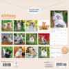 image Kittens 2026 Wall Calendar First Alternate Image
