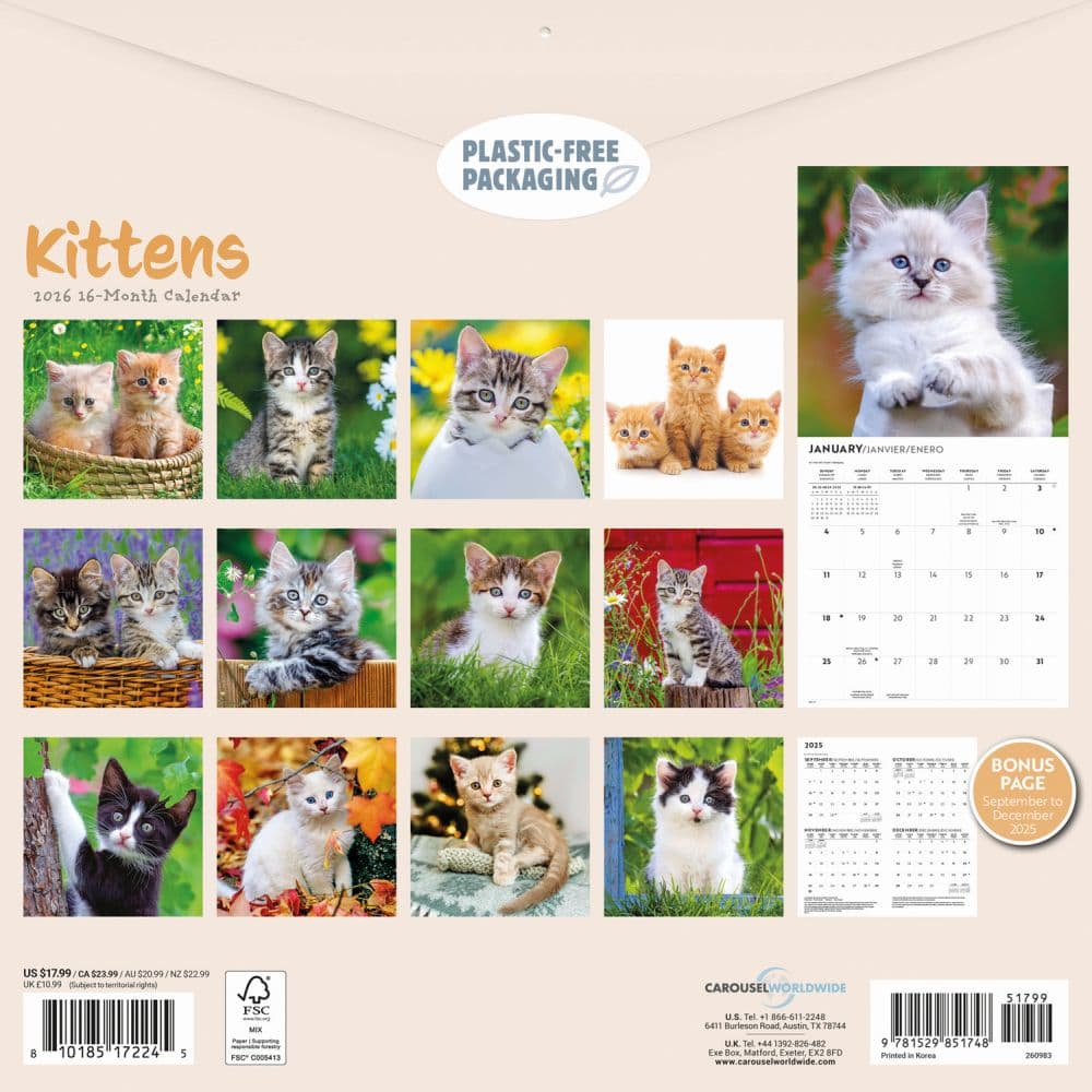 Kittens 2026 Wall Calendar First Alternate Image