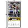 image MLB Pittsburgh Pirates 2025 Wall Calendar Fifth Alternate Image