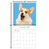 image Doggy Want A Treat 2026 Wall Calendar_ALT5