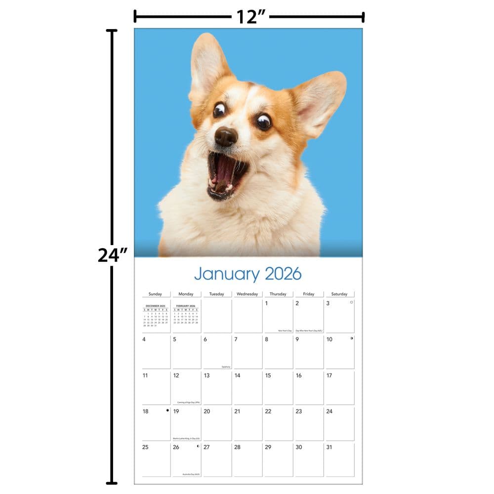Doggy Want A Treat 2026 Wall Calendar_ALT5