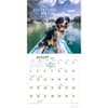 image Dogs Adventure 2024 Wall Calendar Third Alternate Image width=&quot;1000&quot; height=&quot;1000&quot;