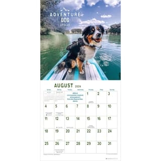 Dogs Adventure 2024 Wall Calendar Third Alternate Image width=&quot;1000&quot; height=&quot;1000&quot;