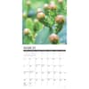 image Cactus 2025 Wall Calendar Second Alternate Image width="1000" height="1000"