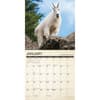 image Canadian Fish and Wild Game 2025 Wall Calendar Second Alternate Image width="1000" height="1000"