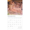 image Colorado National Parks and Monuments 2025 Wall Calendar Alt3