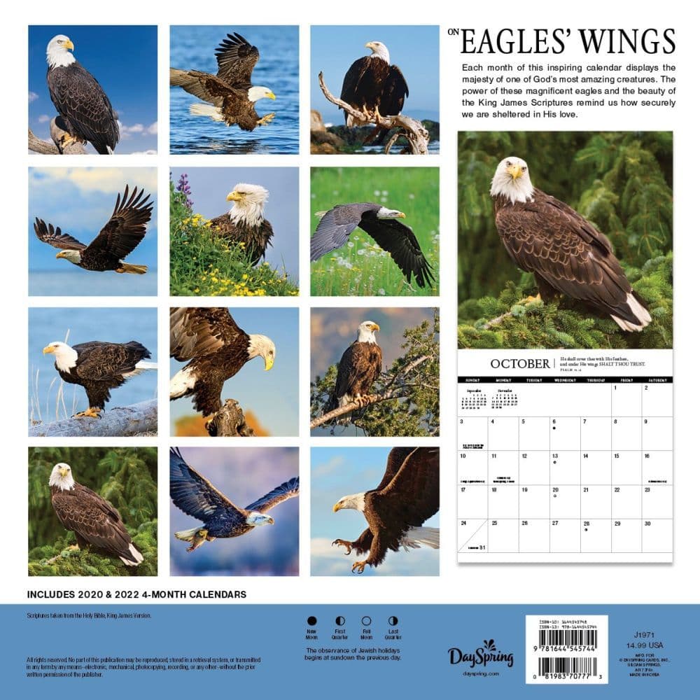 Eagles 2023 Calendar Eagles Wing Wall Calendar - Calendars.com