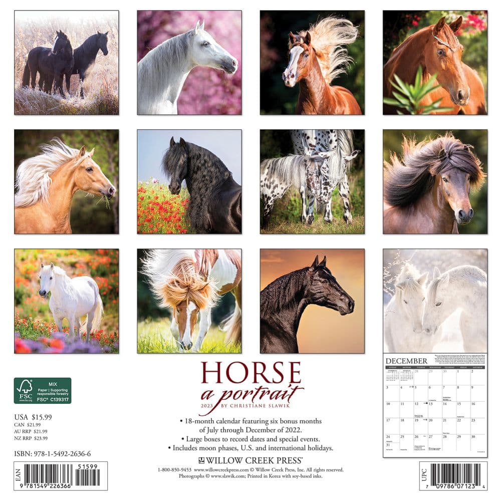 Horse Portrait 2023 Wall Calendar - Calendars.com
