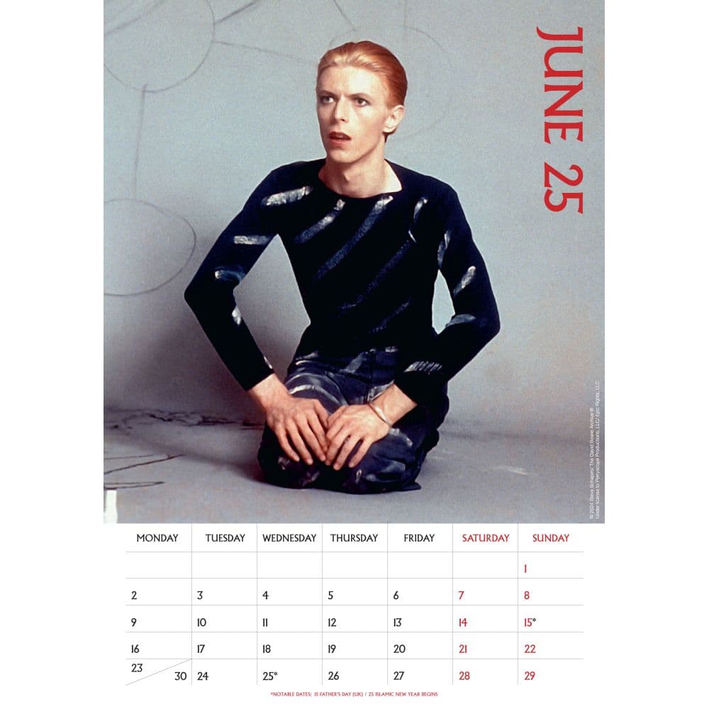 David Bowie Poster 2025 Wall Calendar Second Alternate Image