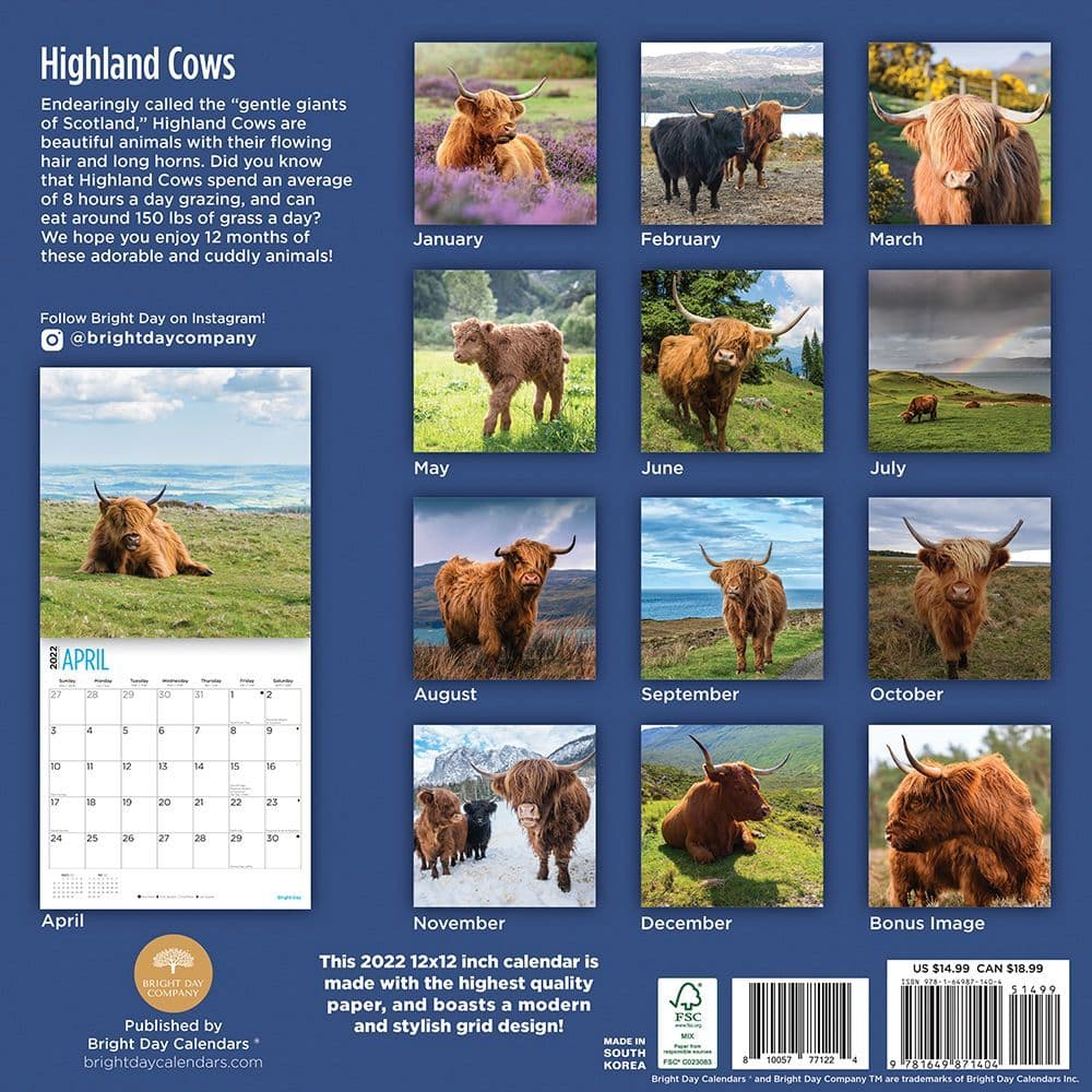 Calendars & Planners Paper Highland Cow Version 2022-2023 Digital and