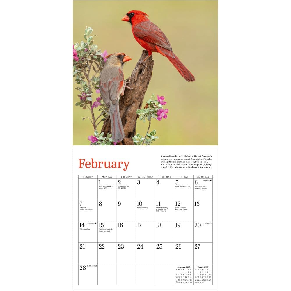 Audubon Cardinals 2027 Mini Wall Calendar Second Alternate Image