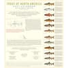 image Trout of North America 2027 Wall Calendar