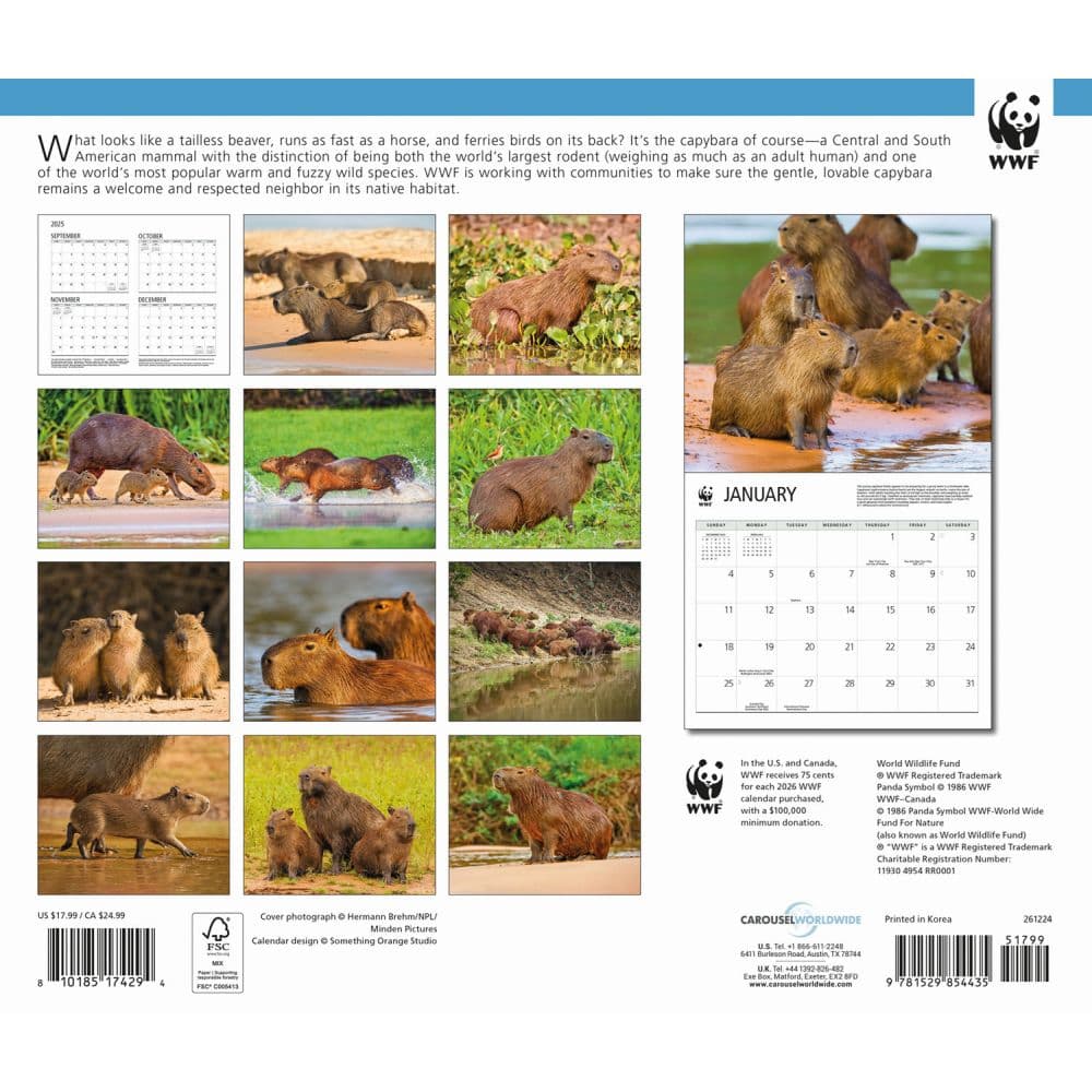 Capybara WWF 2026 Wall Calendar First Alternate Image