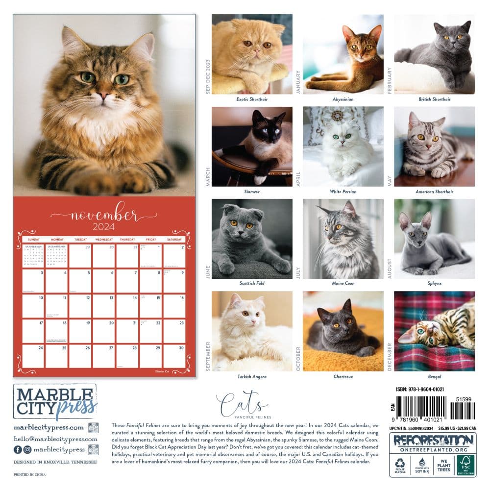 Cats Fanciful Felines 2024 Wall Calendar - Calendars.com