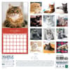 image Cats Fanciful Felines 2024 Wall Calendar First Alternate Image width=&quot;1000&quot; height=&quot;1000&quot;