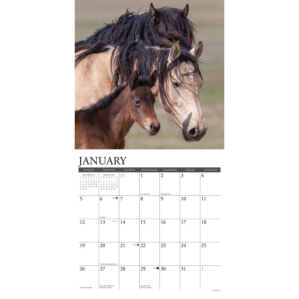 Wild Horses 2025 Wall Calendar Second Alternate Image width="1000" height="1000"