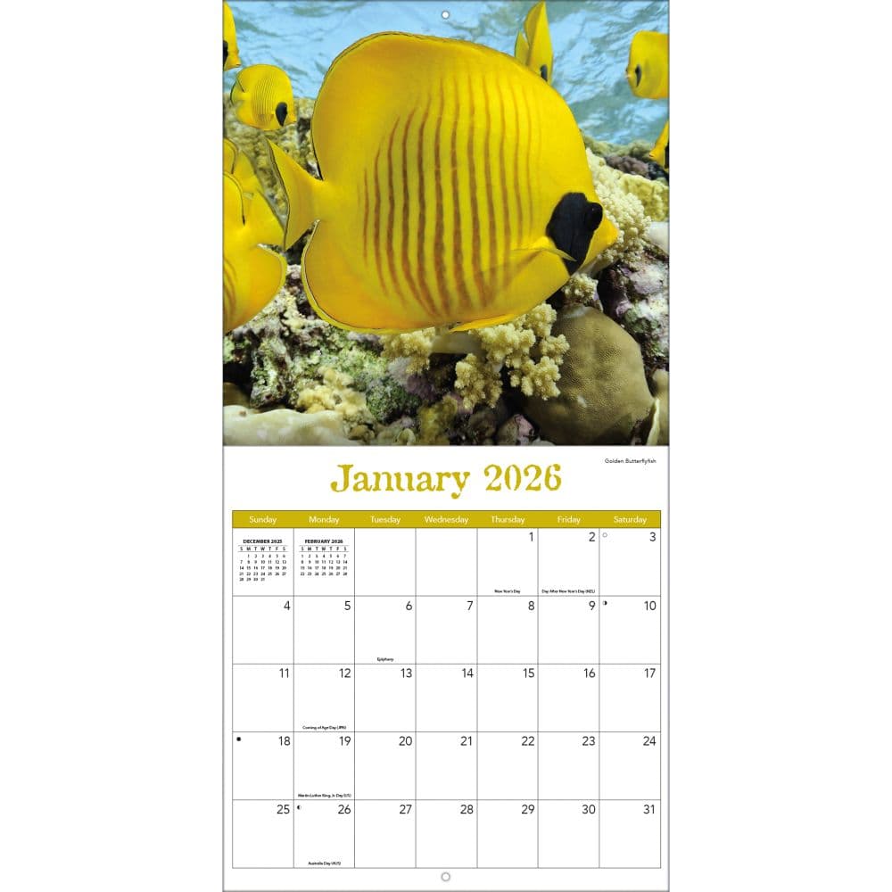Sea Creatures 2026 Wall Calendar_ALT3