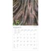 image Illinois Wild and Scenic 2025 Wall Calendar