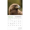 image Audubon Eagles 2026 Mini Wall Calendar Second Alternate Image