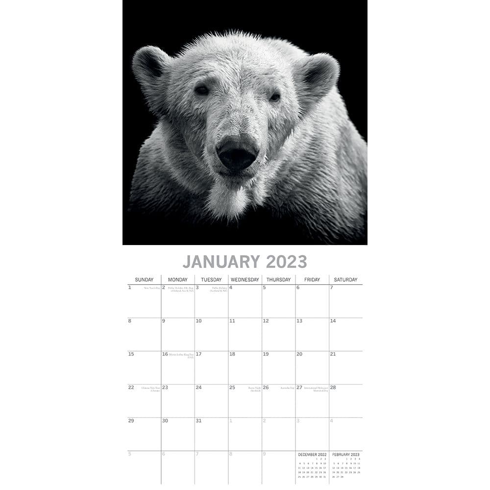 Wild Portraits 2023 Wall Calendar - Calendars.com
