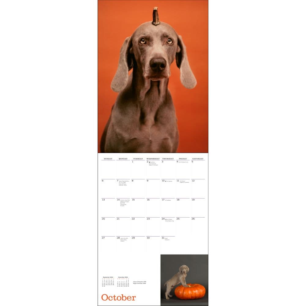 Wegman Mans Best Friend 2024 Wall Calendar