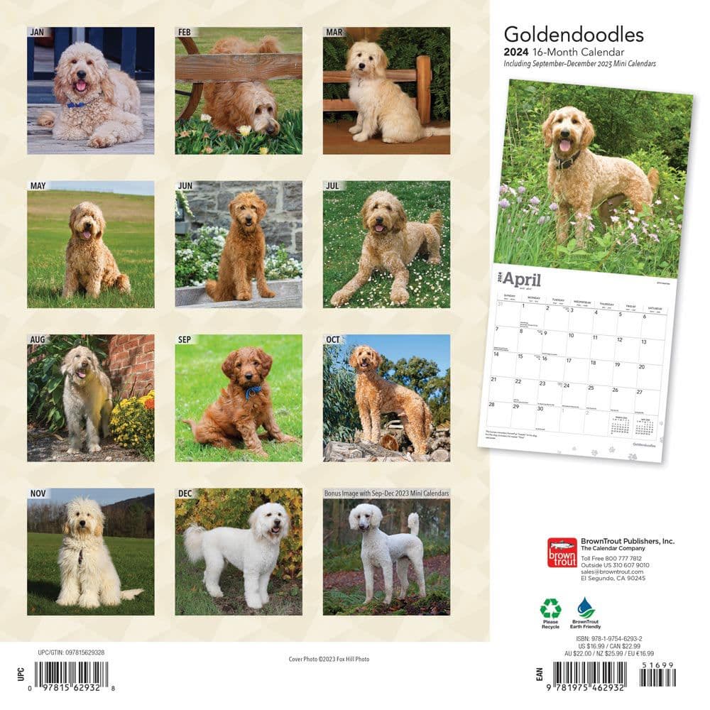 Goldendoodles 2024 Wall Calendar Calendars Com   06960a72 6465 4d71 8003 Ac12a51aee10