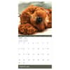 image Dog Dreams 2025 Wall Calendar Alt2