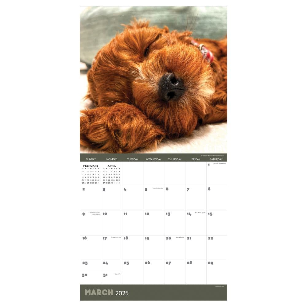 Dog Dreams 2025 Wall Calendar Alt2