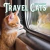 image Travel Cats 2025 Wall Calendar Main Product Image