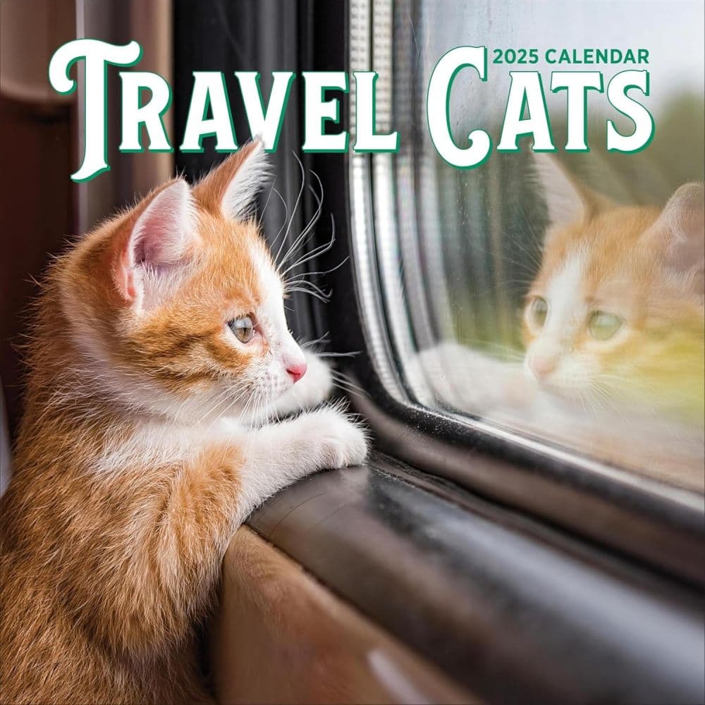 Travel Cats 2025 Wall Calendar Main Product Image