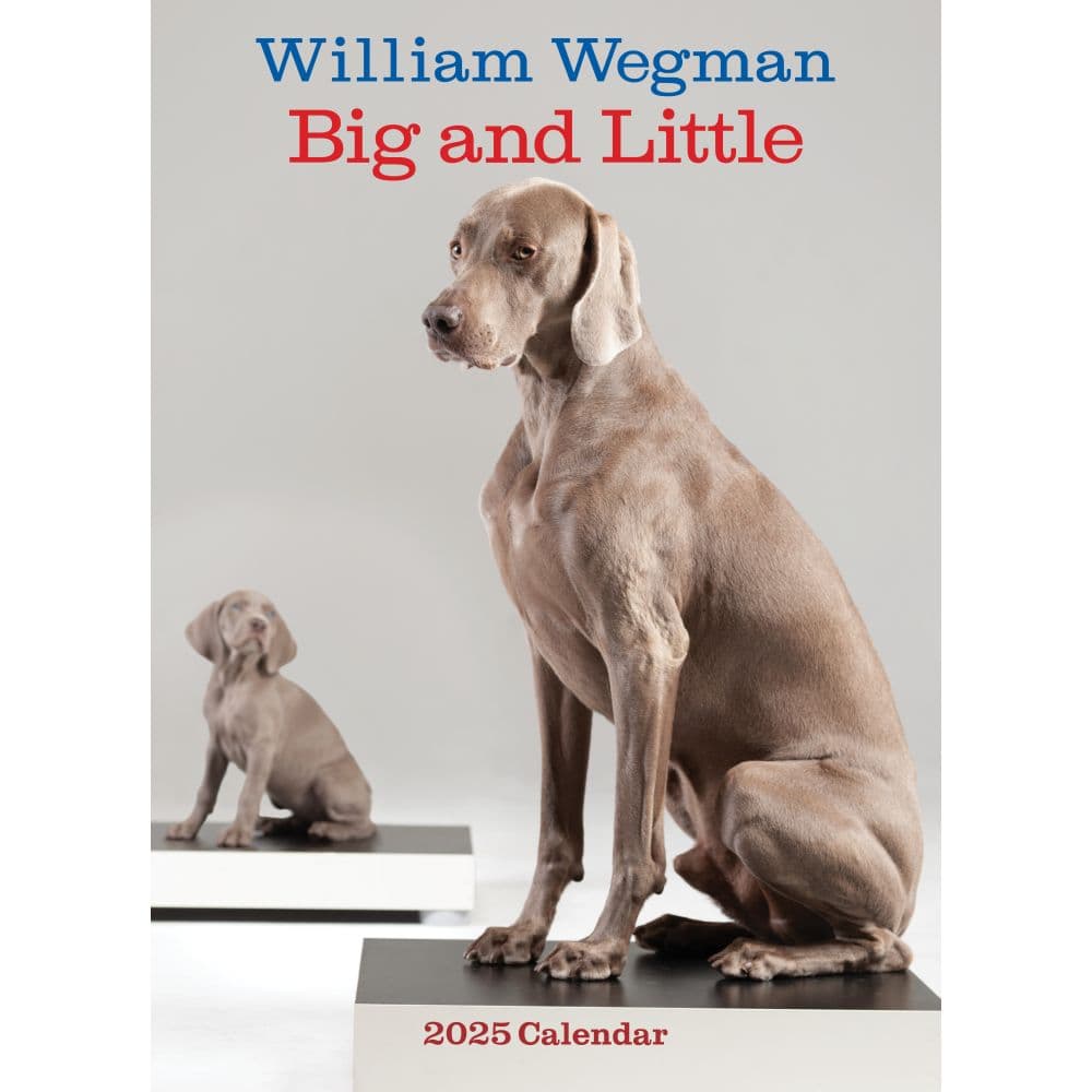 image Wegman Mans Best Friend 2025 Wall Calendar Main Image