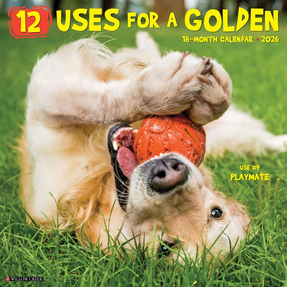12 Uses For A Golden 2026 Wall Calendar Main Image
