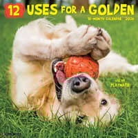 image 12 Uses For A Golden 2026 Wall Calendar Main Image