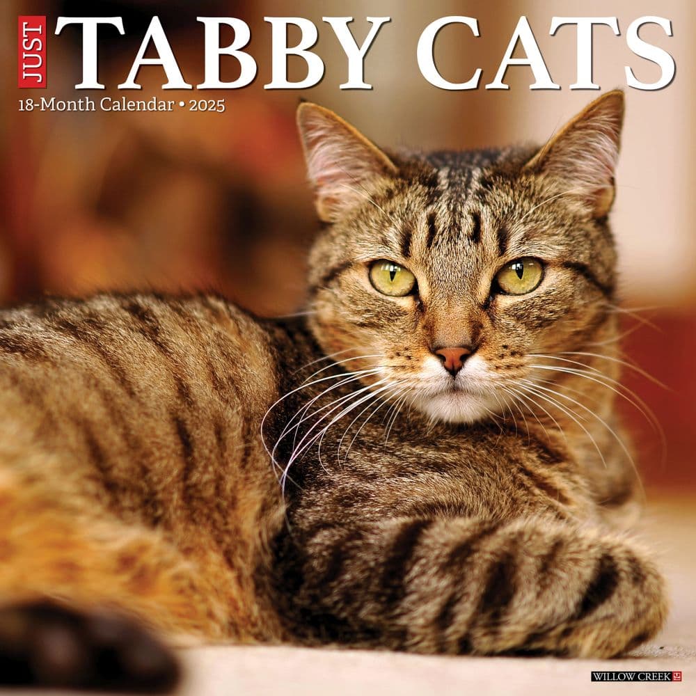 Tabby Cats 2025 Wall Calendar Main Image