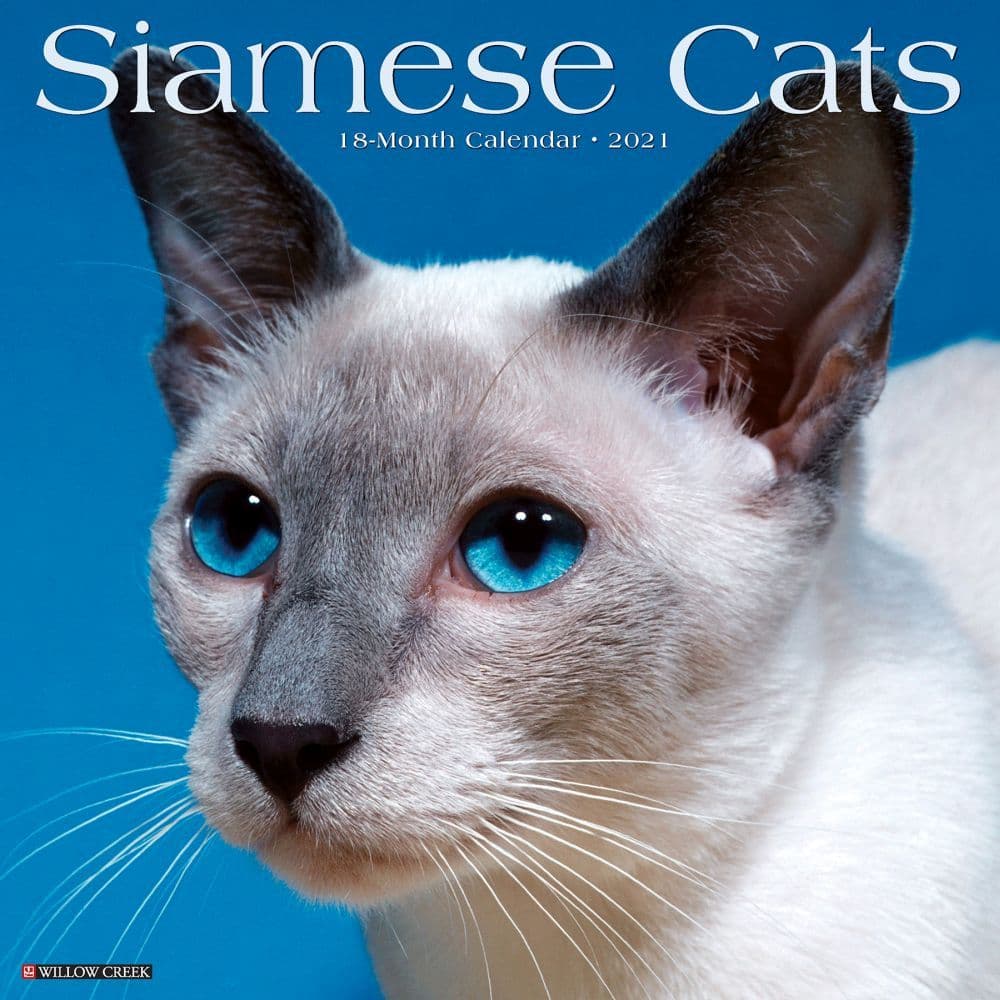 Siamese Cats Wall Calendar