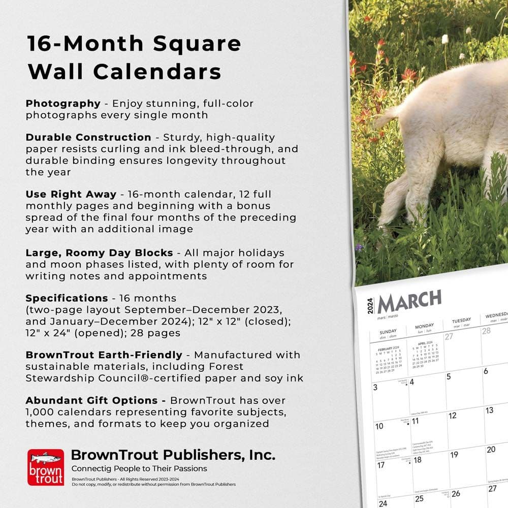 Baby Goats 2024 Wall Calendar - Calendars.com