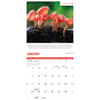 image Fascinating Fungi 2026 Wall Calendar Second Alternate Image