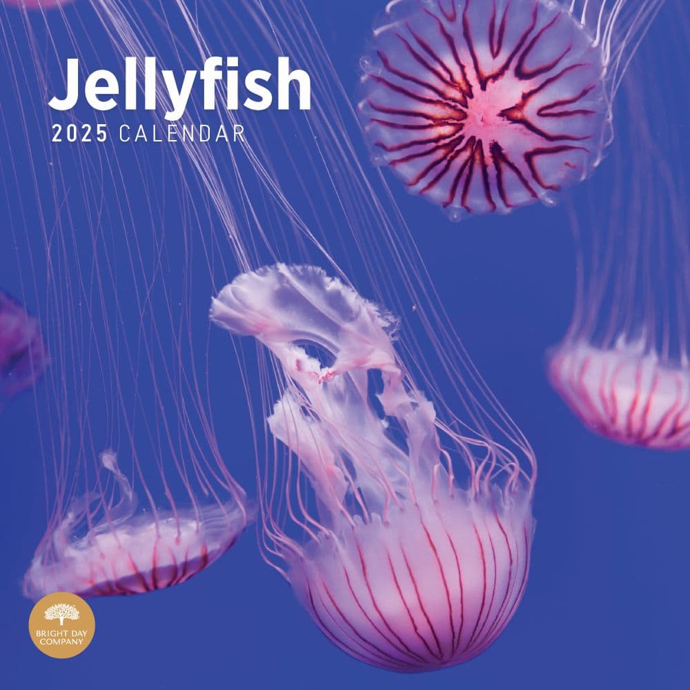 Jellyfish 2025 Wall Calendar