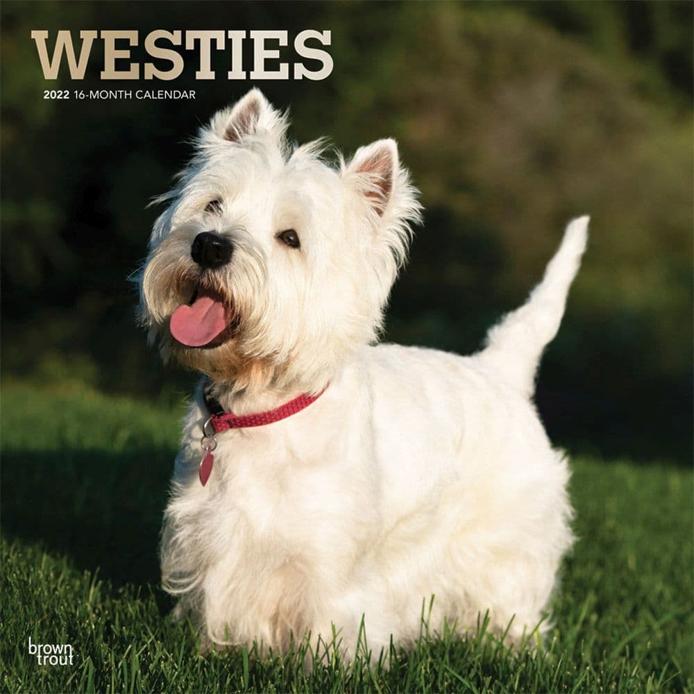 West Highland White Terrier 2022 Calendars