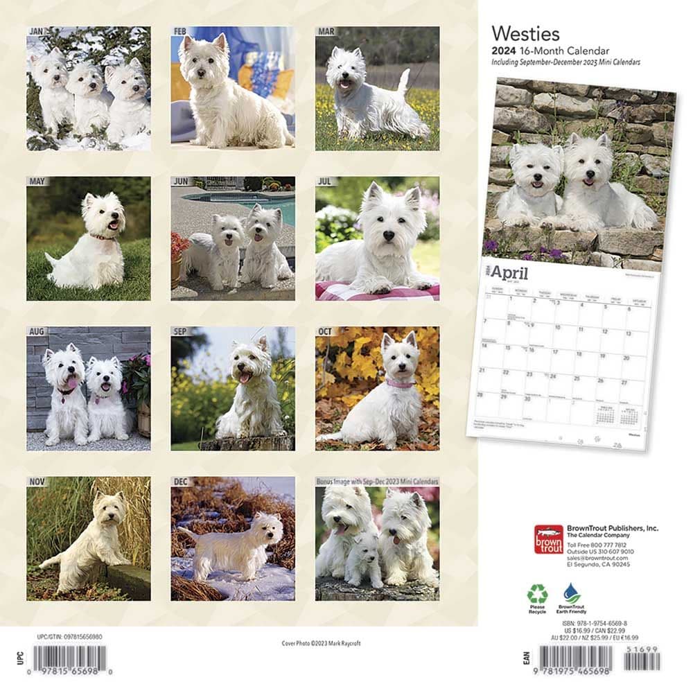 West Highland White Terriers 2024 Wall Calendar