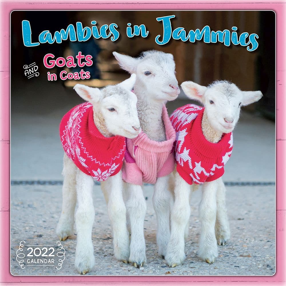 Lambies in jammies 2022 mini wall calendar