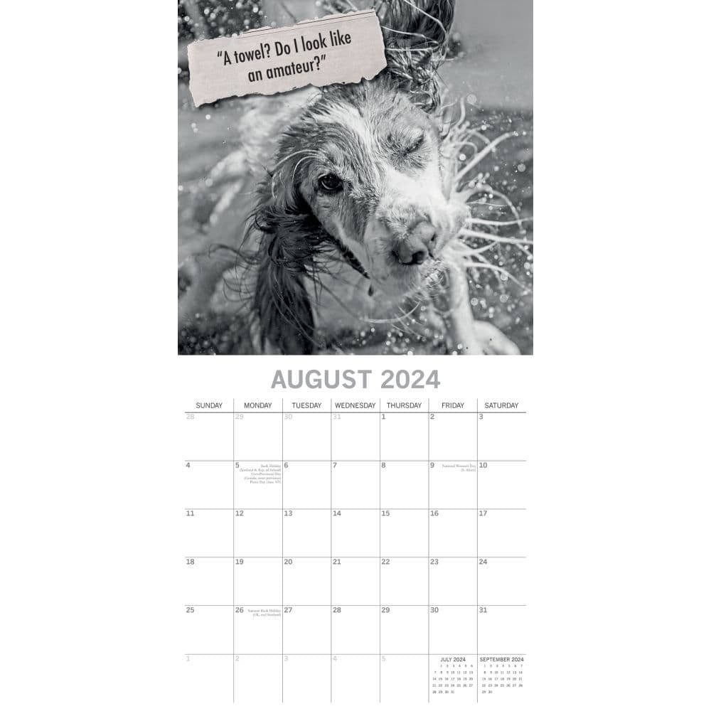 Mutts 2025 Wall Calendar