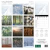 image Forest 2024 Wall Calendar First Alternate Image width=&quot;1000&quot; height=&quot;1000&quot;