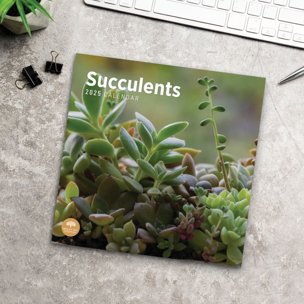 Succulents 2025 Wall Calendar Fourth Alternate Image