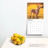 image Red Heelers 2025 Wall Calendar Fourth Alternate Image width=&quot;1000&quot; height=&quot;1000&quot;