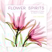 image Flower Spirits 2026 Mini Wall Calendar_Main Image