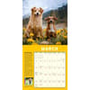 image How to Speak Dog 2025 Wall Calendar Third Alternate Image