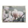 image Vellum Magnolia Branch Blank Card Sixth Alternate Image width=&quot;1000&quot; height=&quot;1000&quot;